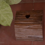 Medium Tree Texture Stand